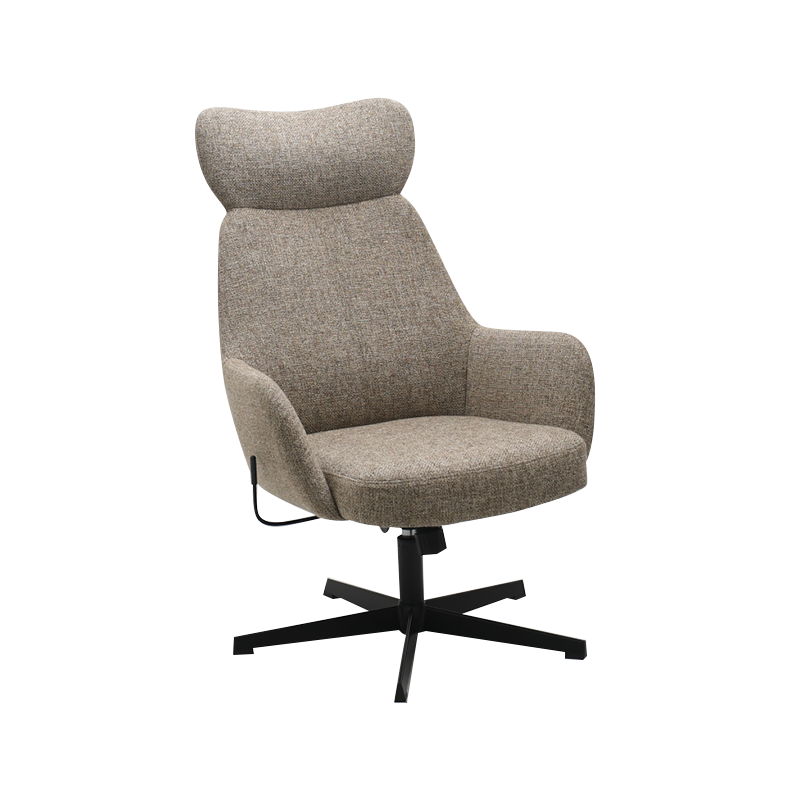Viventem Cathedrae Leisure 
